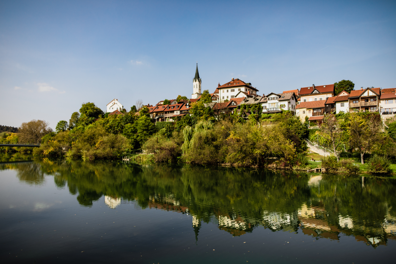 vodilna slika