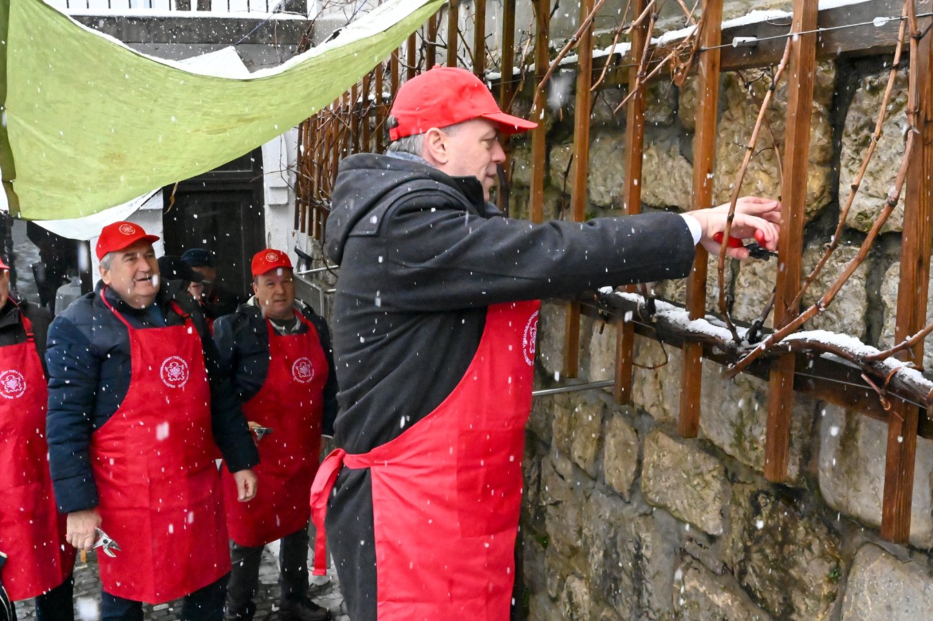  Valentinov tradicionalni rez mestne trte