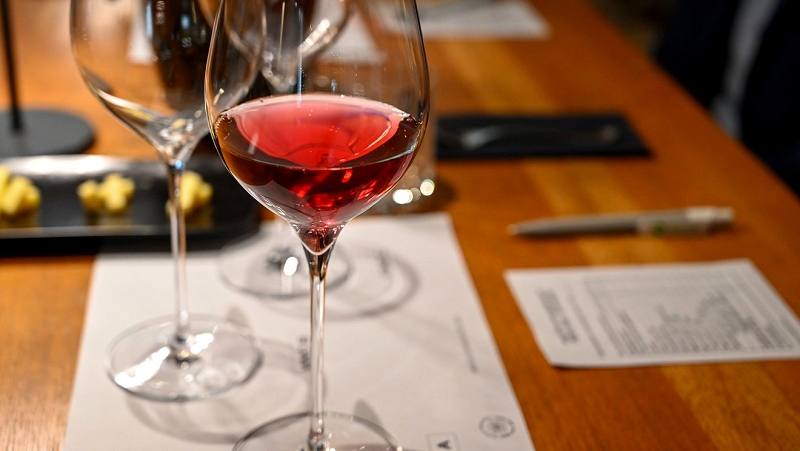 Izbor za Županovo vino Dušan Teropšič je zmagovalec izbora za Županovo vino 2025