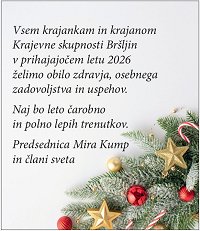 Posnetek zaslona 2025-12-22 164133