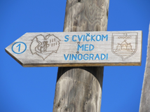 tabla -s cvičkom med vinogradi tabla -s cvičkom med vinogradi