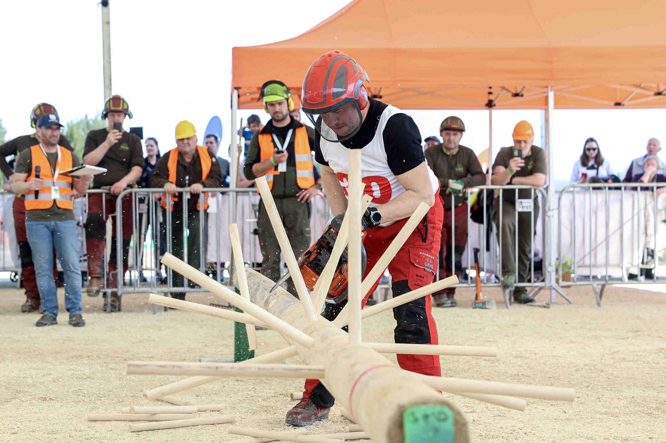  Svetovno gozdarsko prvenstvo 2026 