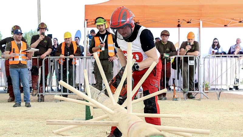 Svetovno gozdarsko prvenstvo v Novem mestu