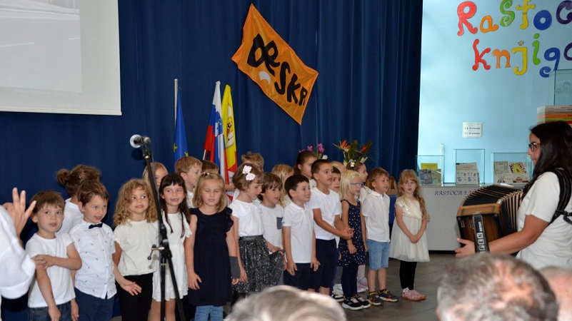 ZDS_3339