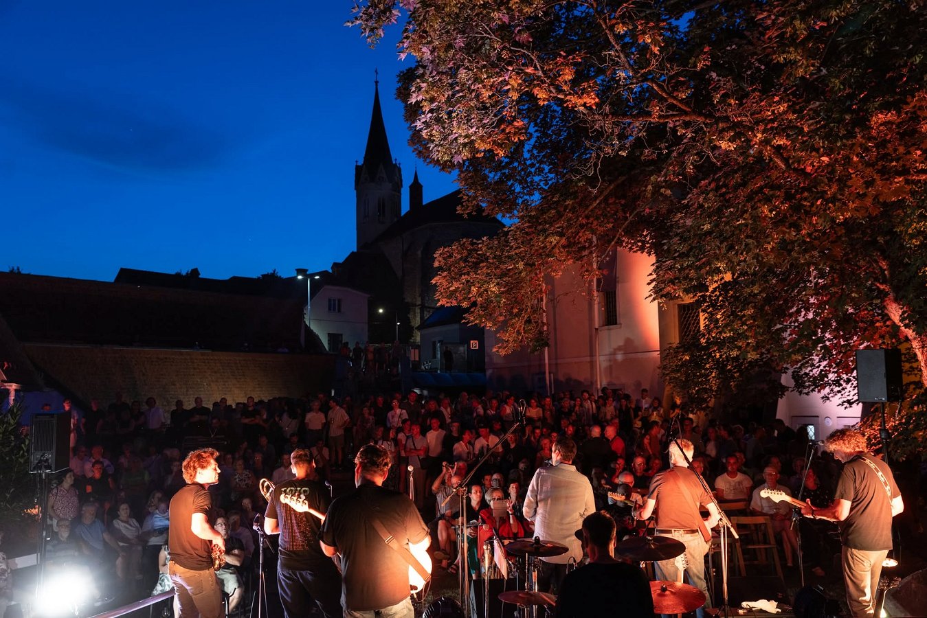 Na fotografiji so udeleženci in nastopajoči na festivalu Novomeško poletje v Muzejskih vrtovih