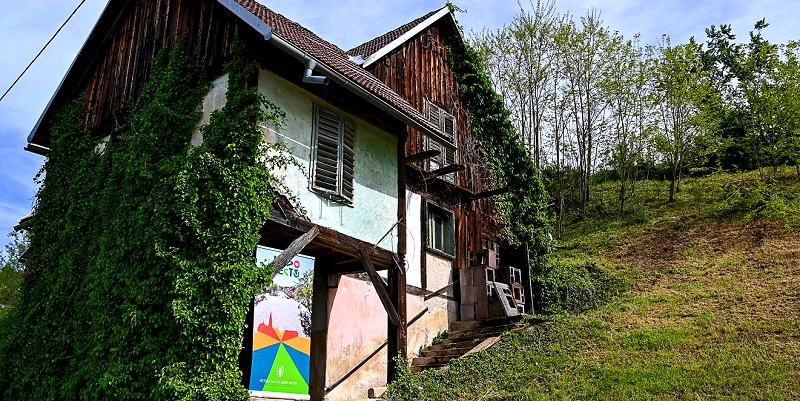 vodilna slika