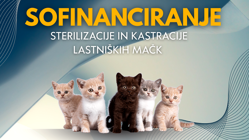 Na fotografiji je plakat s promocijo sofinanciranja kastracije in sterilizacije lastniških mačk Na voljo še nekaj bonov za sofinanciranje sterilizacije in kastracije lastniških mačk 