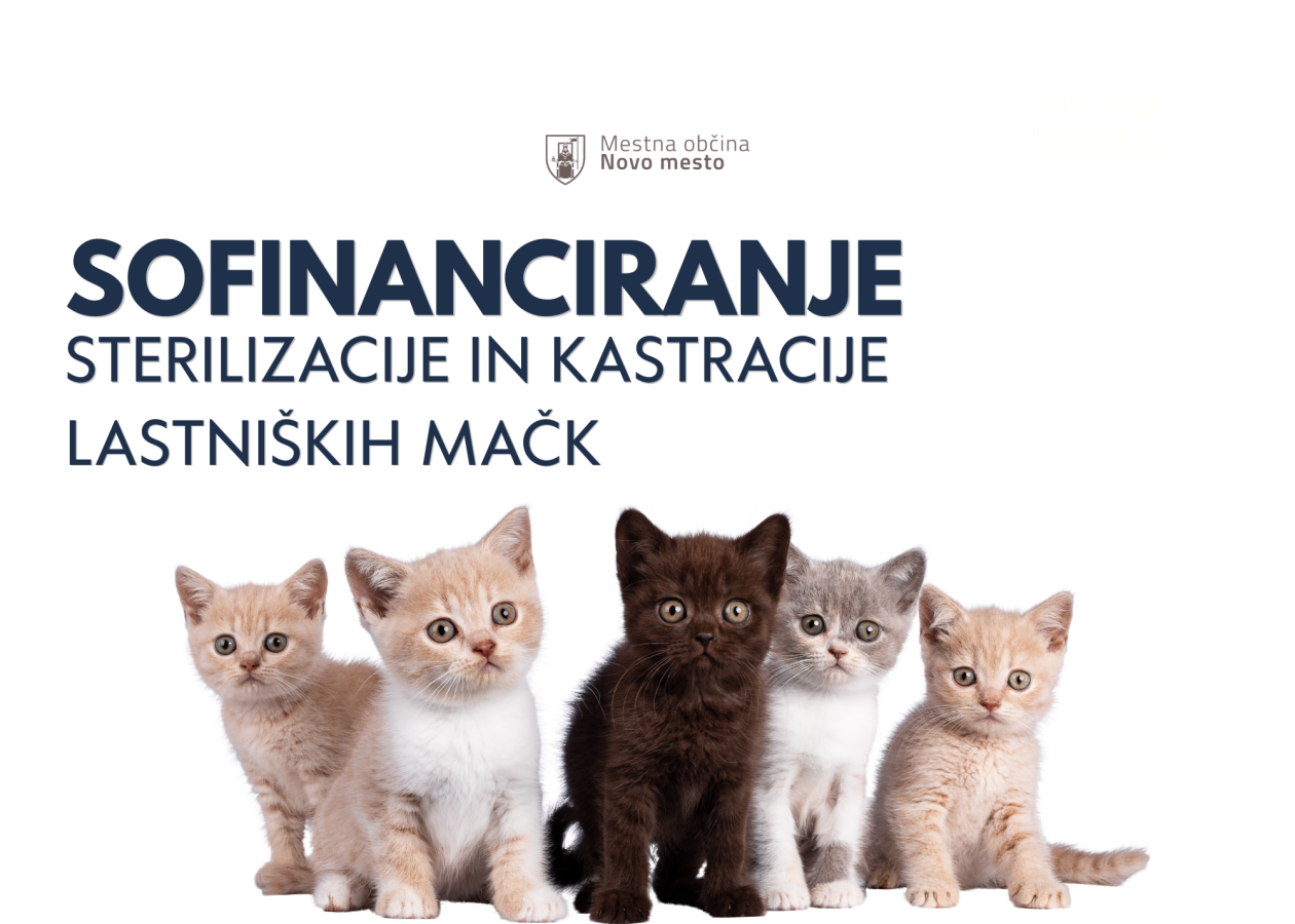  Na voljo še nekaj bonov za sofinanciranje sterilizacije in kastracije lastniških mačk 