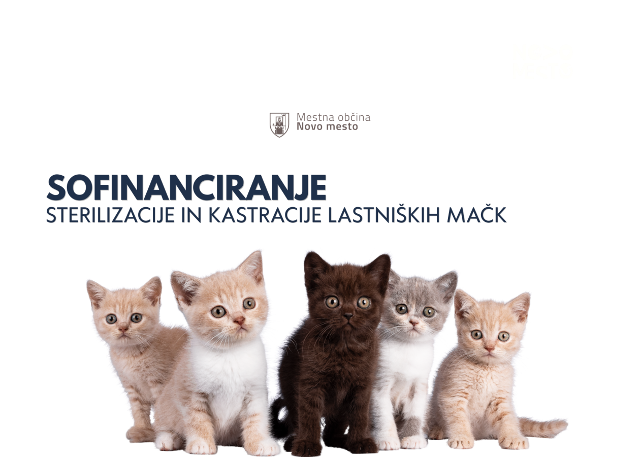  Na voljo še nekaj bonov za sofinanciranje sterilizacije in kastracije lastniških mačk 