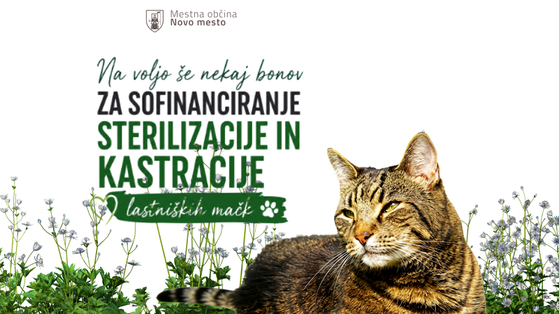 Na fotografiji je plakaz ta bone za sofinanciranje kastracije in sterilizacije mačk Na voljo še nekaj bonov za sofinanciranje sterilizacije in kastracije lastniških mačk 