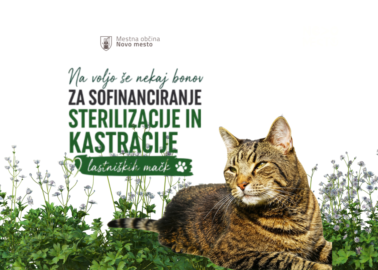 Na fotografiji je plakaz ta bone za sofinanciranje kastracije in sterilizacije mačk Na voljo še nekaj bonov za sofinanciranje sterilizacije in kastracije lastniških mačk 