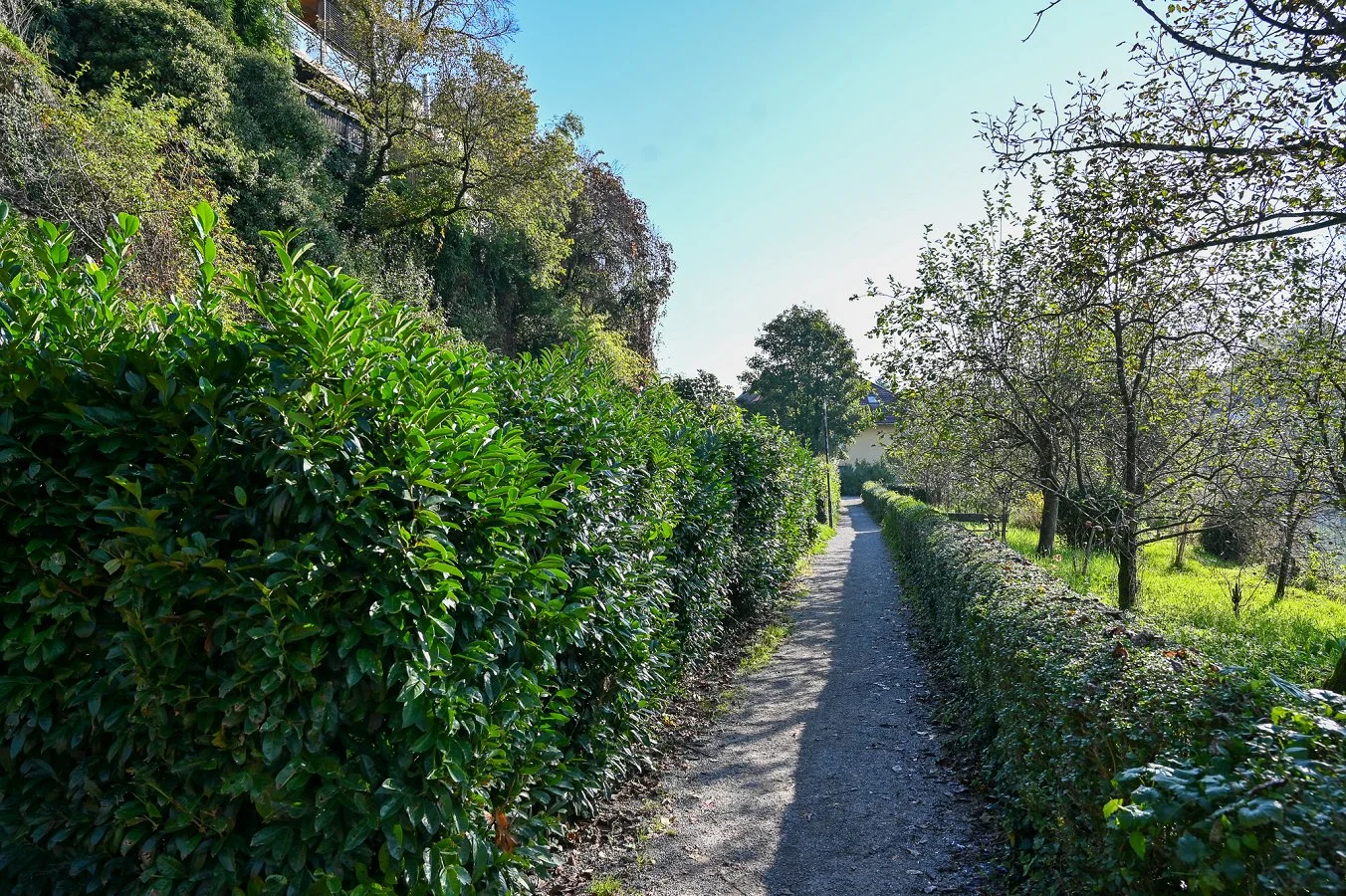 Fotografija Župančičevega sprehajališča.  Začasna popolna zapora Župančičevega sprehajališča 