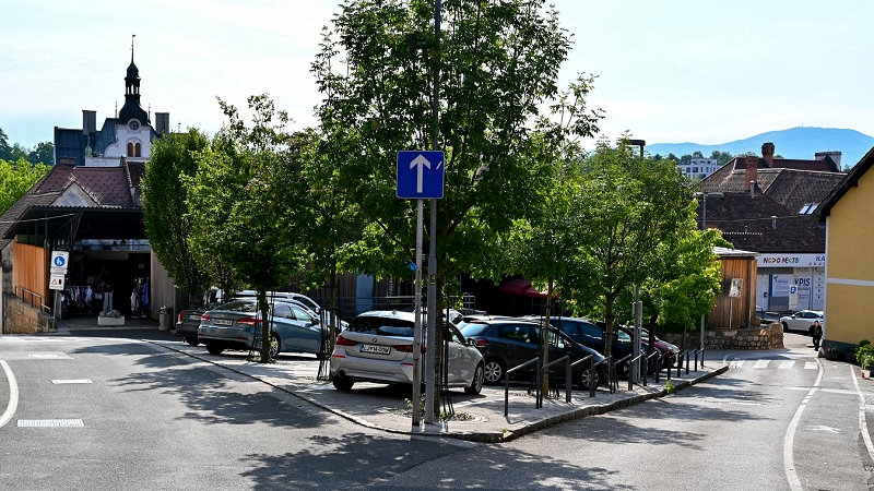  Presaditev dreves v okviru urejanja Florjanovega trga 